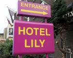 Imagen #13 de Hotel Lily